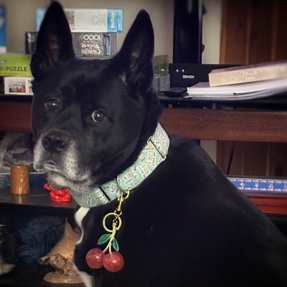 The Birch Branch Flyer - Picture 3 of 10